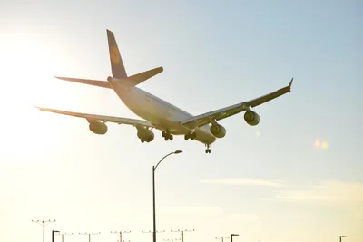 DSC_5753 (Large).JPG